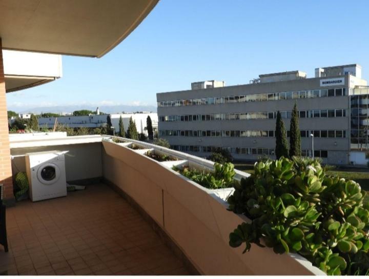 Apartment Settecamini *